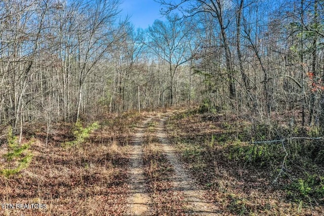 Nashville Ave, Deer Lodge, TN 37726 - photo 1