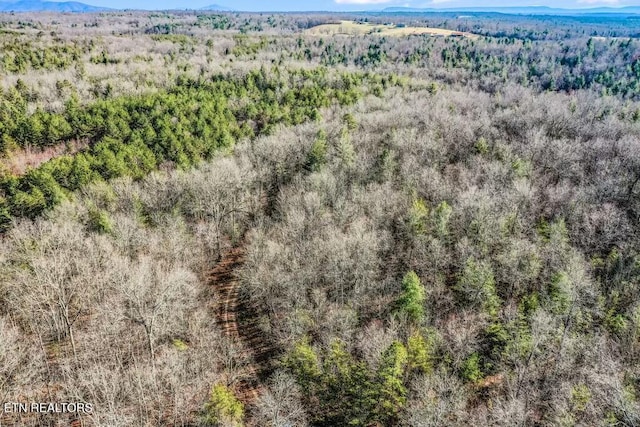 Nashville Ave, Deer Lodge, TN 37726 - photo 6