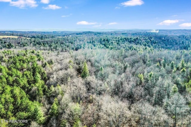 Nashville Ave, Deer Lodge, TN 37726 - photo 8