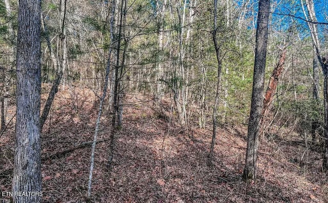 Nashville Ave, Deer Lodge, TN 37726 - photo 12