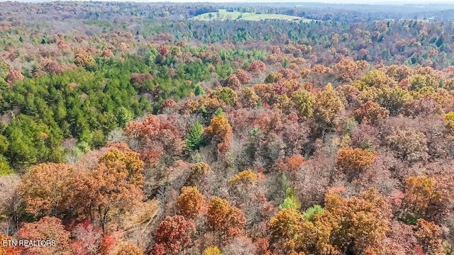 Nashville Ave, Deer Lodge, TN 37726 - photo 19
