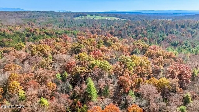 Nashville Ave, Deer Lodge, TN 37726 - photo 21