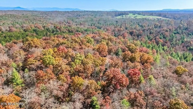 Nashville Ave, Deer Lodge, TN 37726 - photo 22