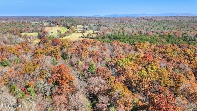Nashville Ave, Deer Lodge, TN 37726 - photo 24