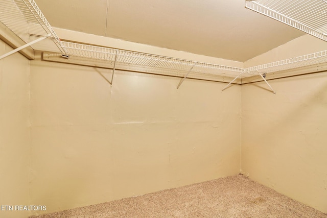 walk in closet featuring carpet flooring and vaulted ceiling