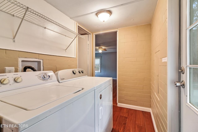 clothes washing area featuring washer and dryer, ceiling fan, and dark hardwood / wood-style flooring