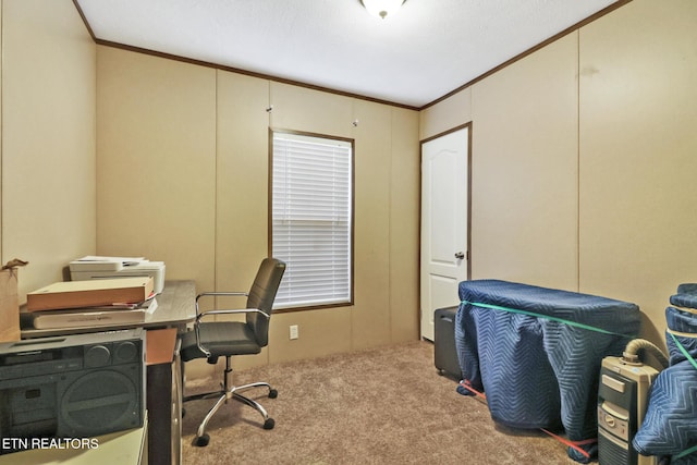 carpeted office with crown molding