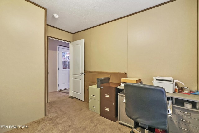 office space featuring light colored carpet, a textured ceiling, and ornamental molding