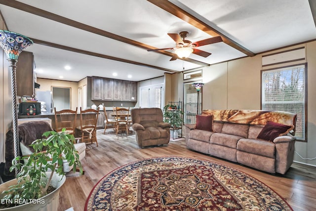 living room featuring beam ceiling, light hardwood / wood-style flooring, and ceiling fan