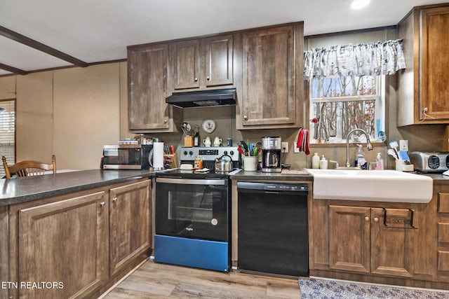 kitchen featuring sink, stainless steel appliances, and light hardwood / wood-style flooring