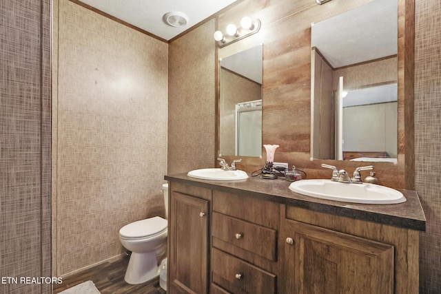 bathroom with vanity, hardwood / wood-style flooring, and toilet