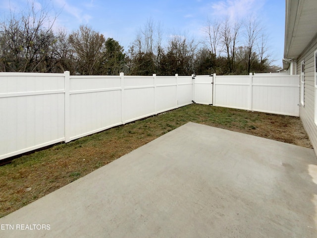 view of yard with a patio