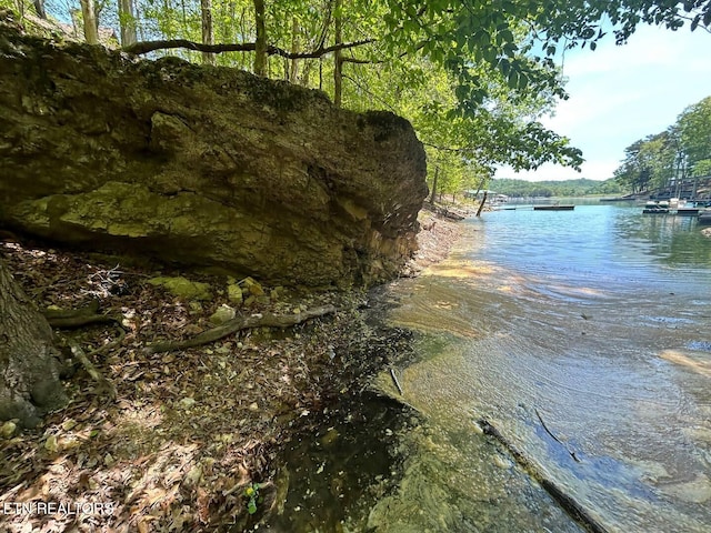 view of water feature