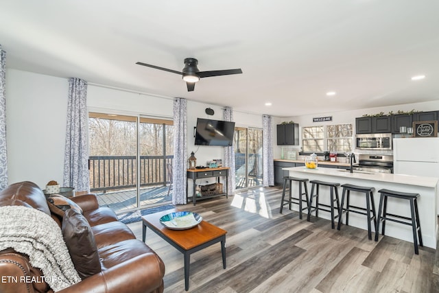 living room featuring ceiling fan, sink, and wood-type flooring