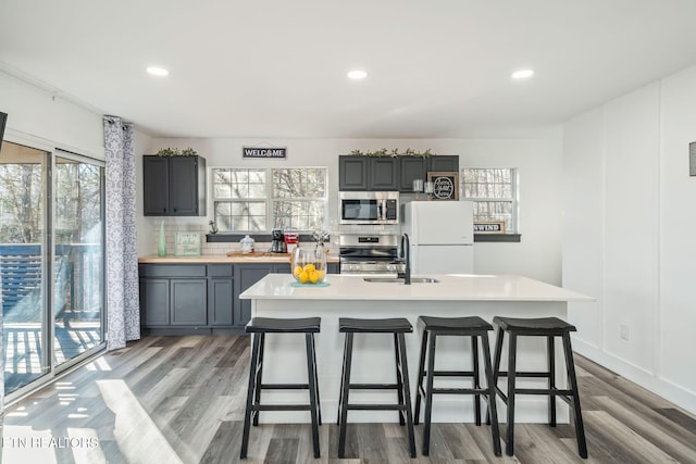 kitchen with hardwood / wood-style floors, sink, gray cabinets, an island with sink, and stainless steel appliances