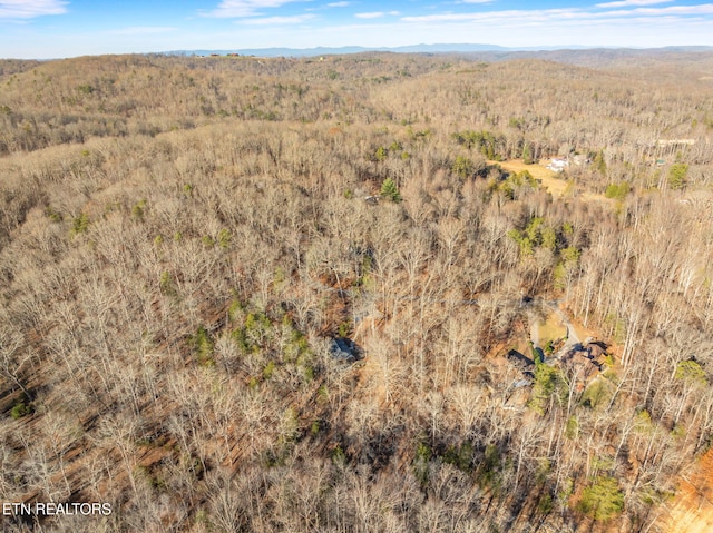 drone / aerial view featuring a mountain view