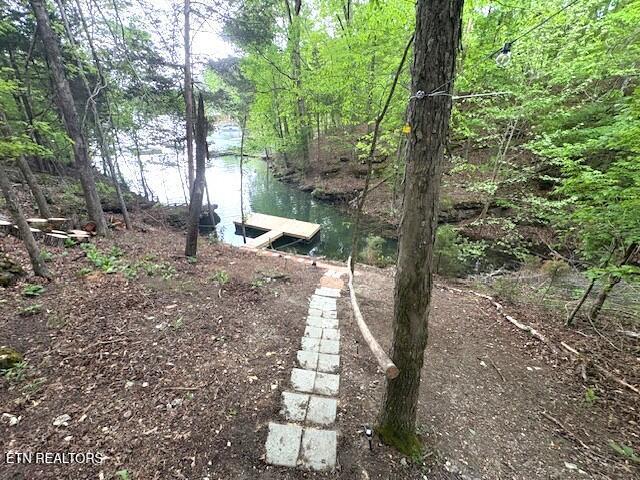 view of yard with a water view and a boat dock
