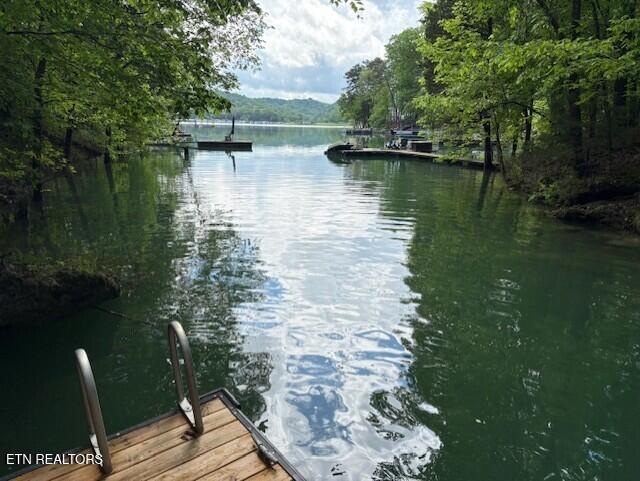 112 Royce Rd, Andersonville, TN 37705 - dock area with a water view