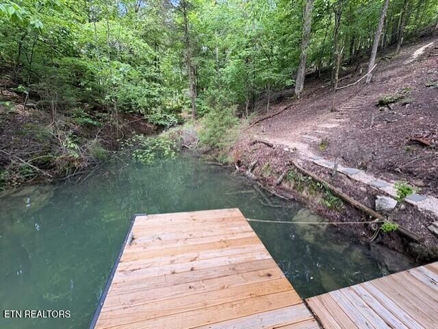 112 Royce Rd, Andersonville, TN 37705 - view of dock area