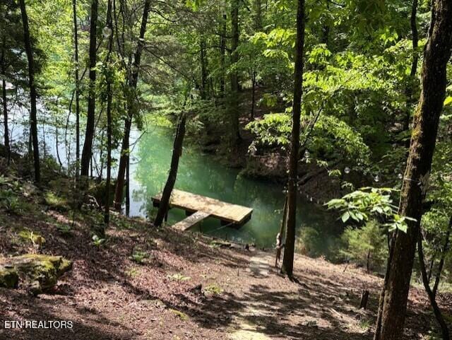 112 Royce Rd, Andersonville, TN 37705 - dock area featuring a view of trees