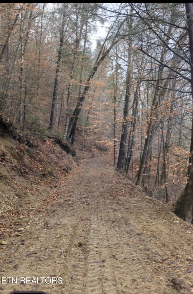 Carrs Creek Rd, Townsend, TN 37882 - photo 6
