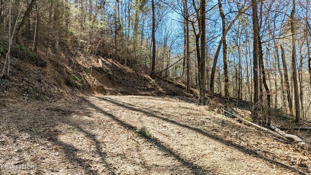 Carrs Creek Rd, Townsend, TN 37882 - photo 3
