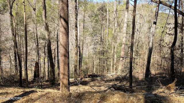 Carrs Creek Rd, Townsend, TN 37882 - photo 7