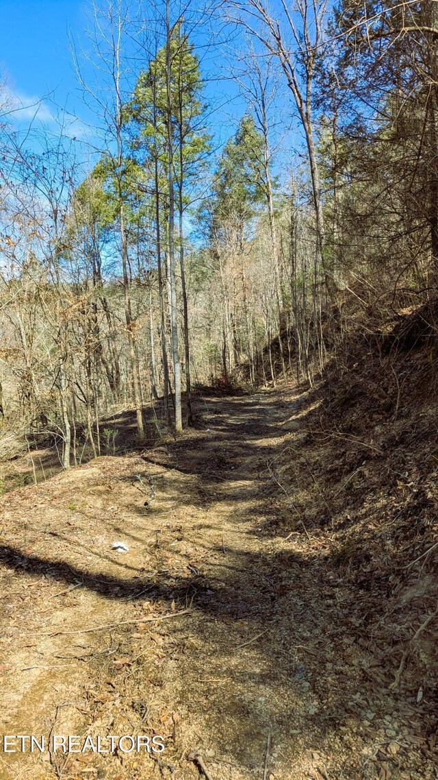 Carrs Creek Rd, Townsend, TN 37882 - photo 8