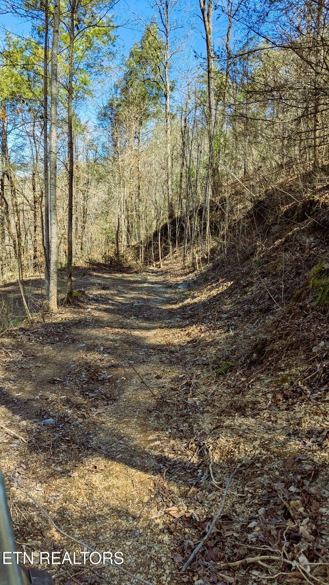 Carrs Creek Rd, Townsend, TN 37882 - photo 9