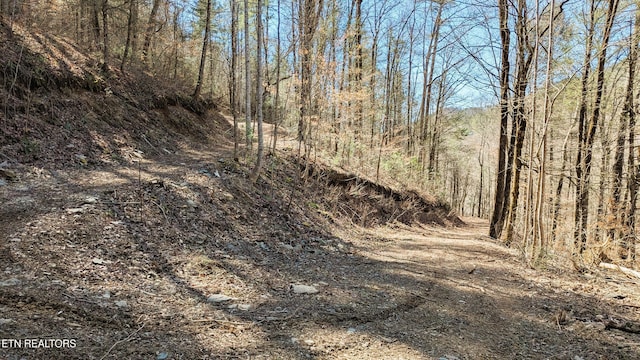 Carrs Creek Rd, Townsend, TN 37882 - photo 2