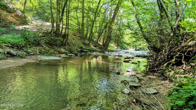 Carrs Creek Rd, Townsend, TN 37882 - photo 4