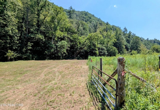 Carrs Creek Rd, Townsend, TN 37882 - photo 1