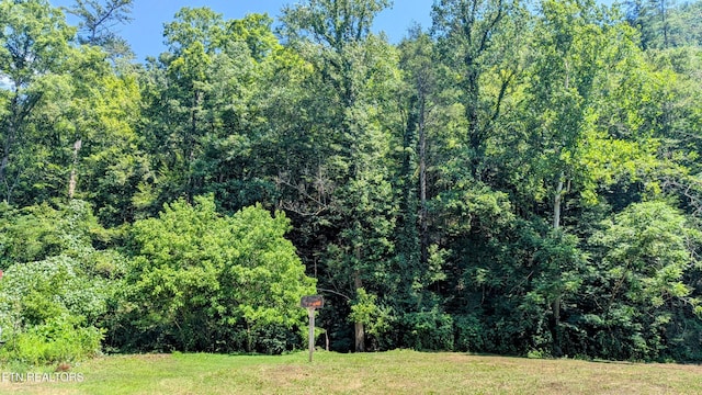 Carrs Creek Rd, Townsend, TN 37882 - photo 5