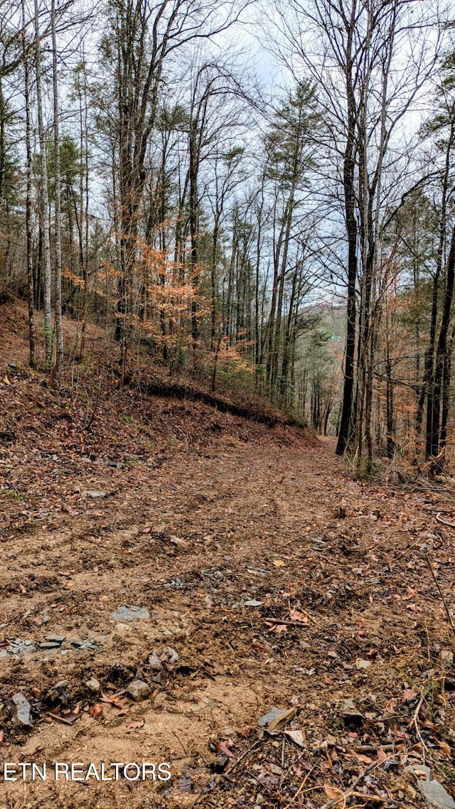 Listing photo 3 for Carrs Creek Rd, Townsend TN 37882