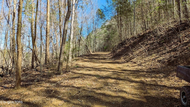 Listing photo 2 for Carrs Creek Rd, Townsend TN 37882