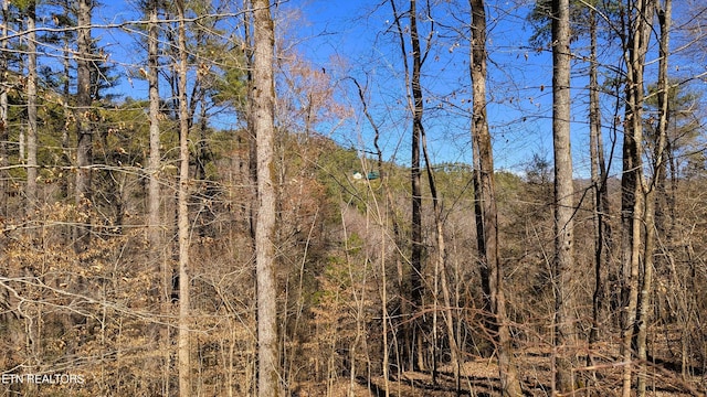 Carrs Creek Rd, Townsend, TN 37882