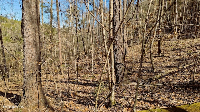 Carrs Creek Rd, Townsend, TN 37882