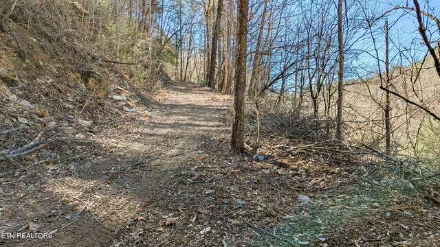 Carrs Creek Rd, Townsend, TN 37882