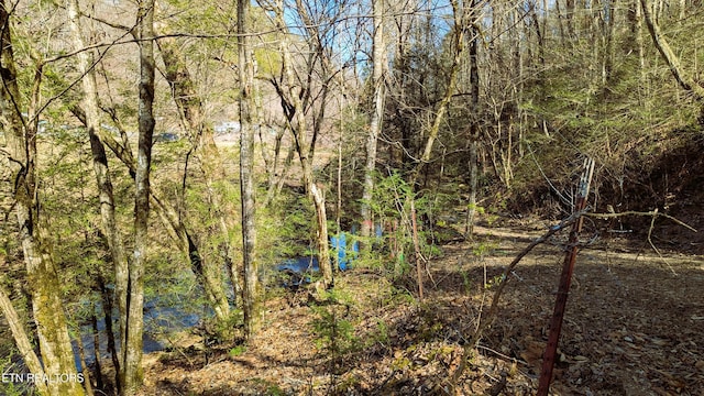 Carrs Creek Rd, Townsend, TN 37882