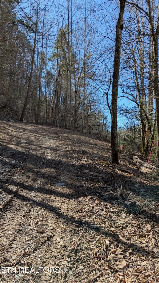 Carrs Creek Rd, Townsend, TN 37882