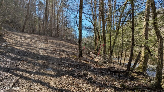 Carrs Creek Rd, Townsend, TN 37882