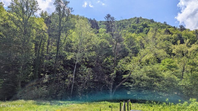 Carrs Creek Rd, Townsend, TN 37882