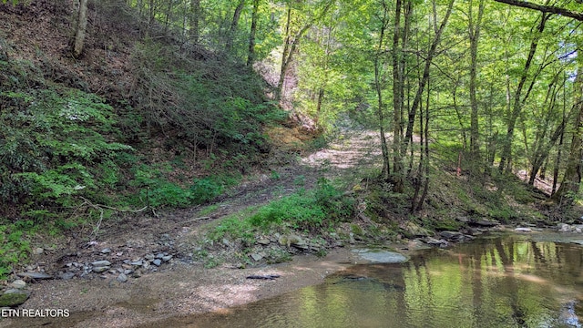 Carrs Creek Rd, Townsend, TN 37882