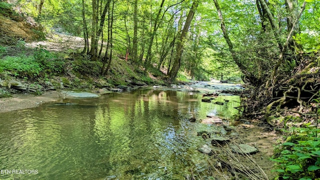 Carrs Creek Rd, Townsend, TN 37882