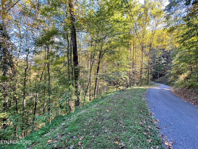 1020 Big Buck Trl, Townsend TN, 37882 land for sale