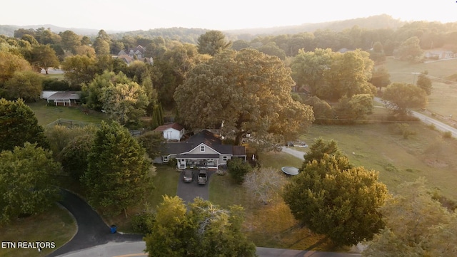 bird's eye view