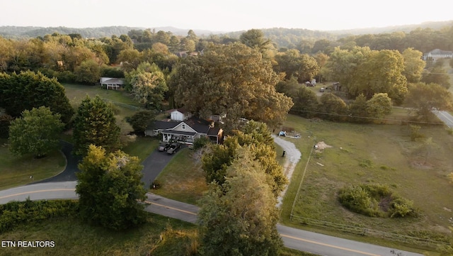 bird's eye view