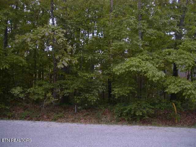 24 Black Oack Cir, Fairfield Glade TN, 38558 land for sale