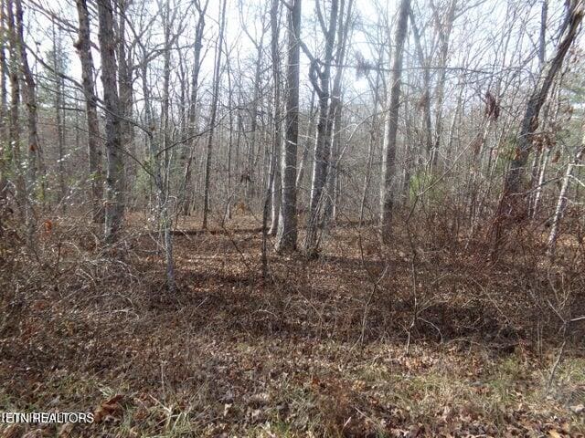 2142 Ona Rd, Crossville TN, 38572 land for sale