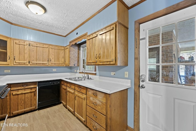 kitchen with dishwasher, sink, plenty of natural light, a textured ceiling, and ornamental molding